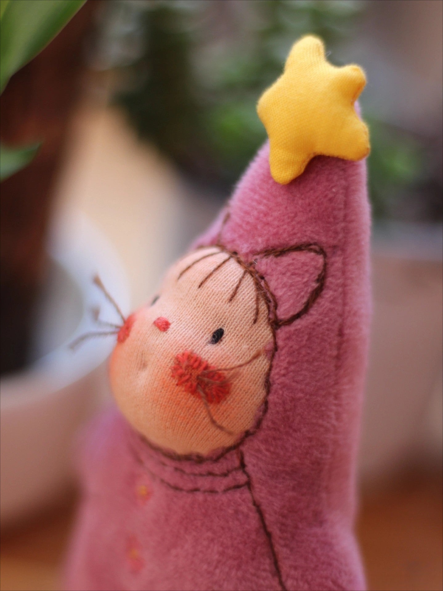star cat