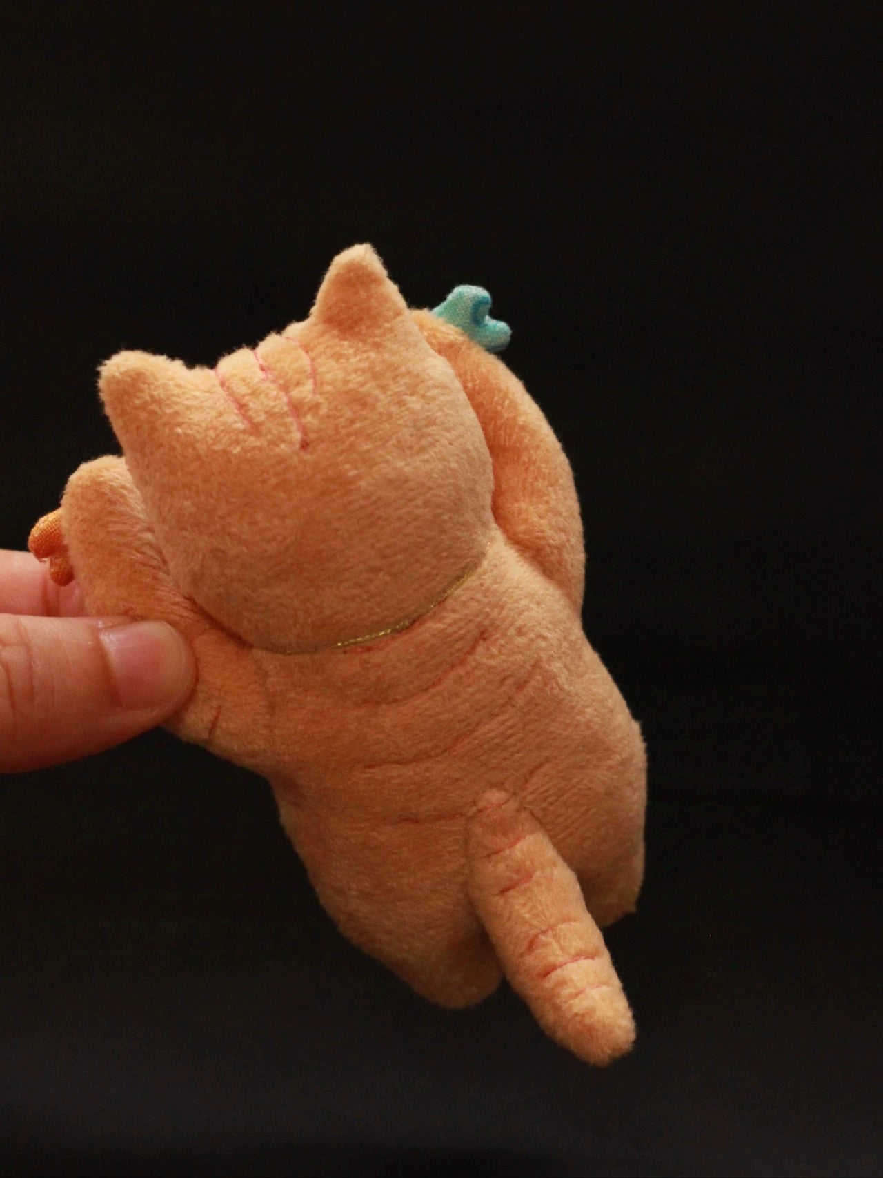 two fish orange cat