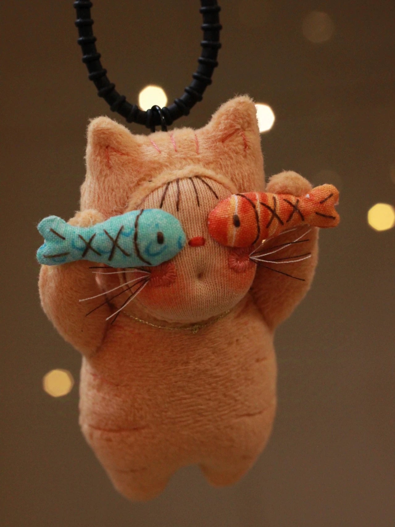 two fish orange cat