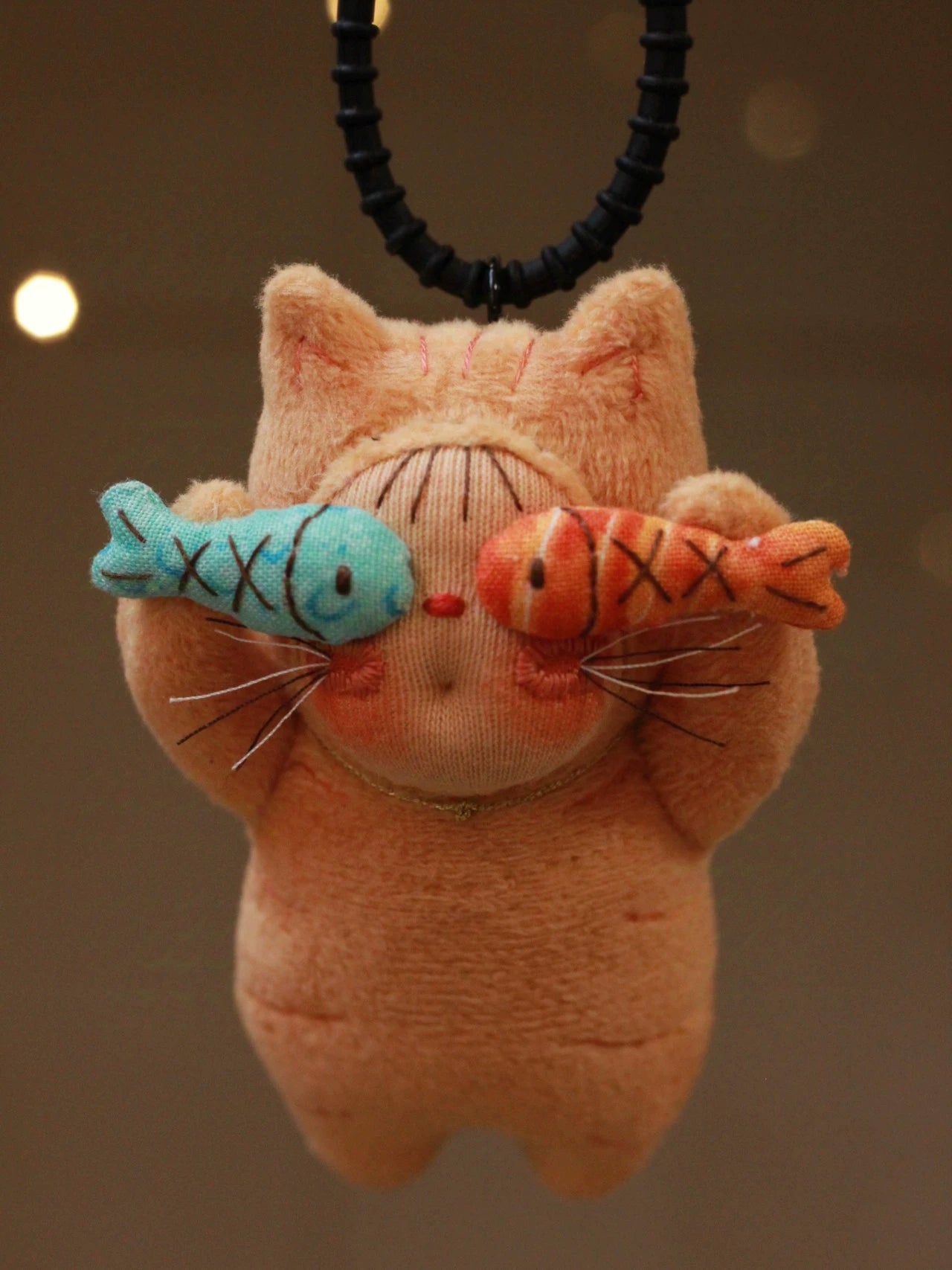 two fish orange cat