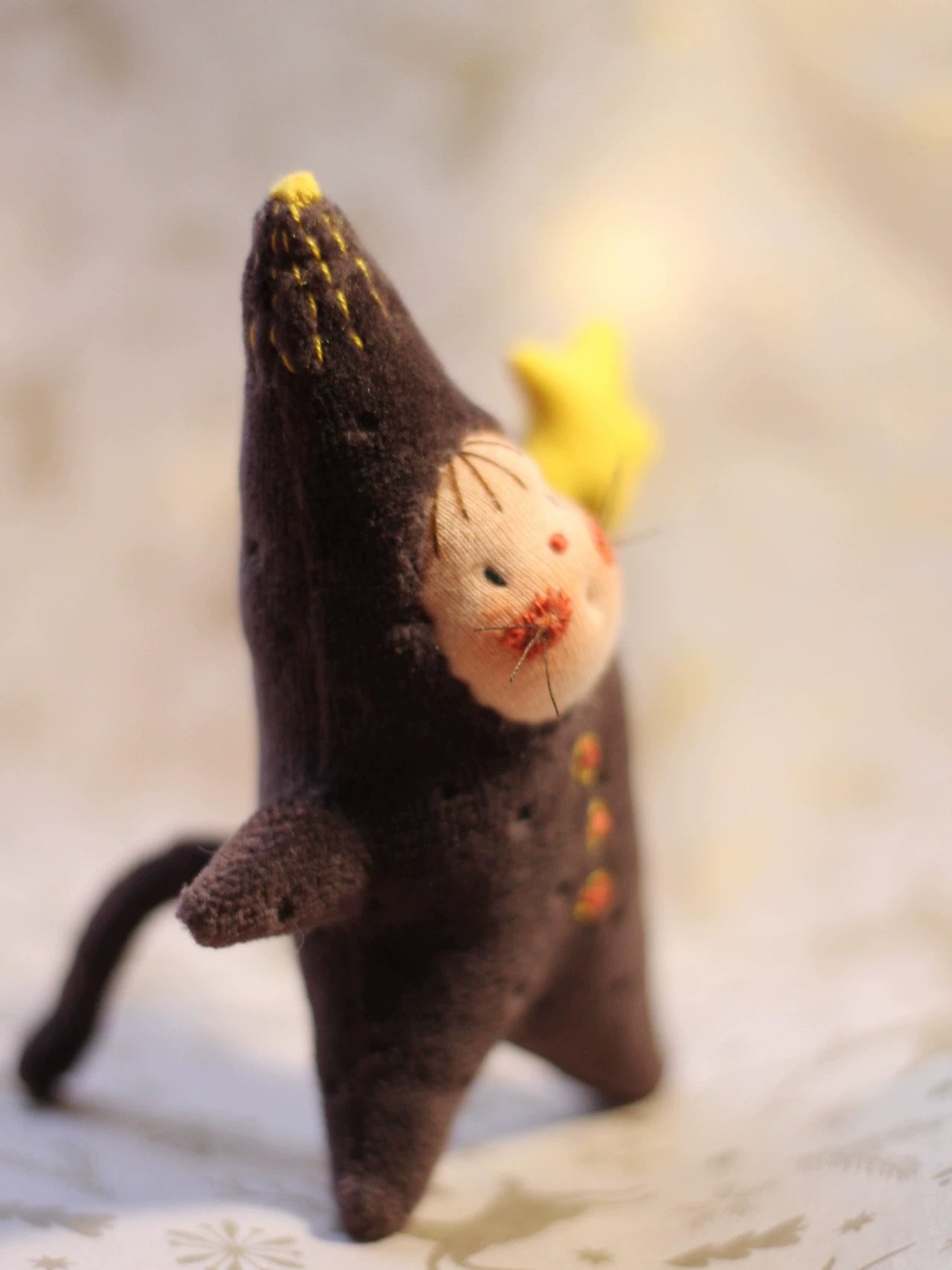 star man cat