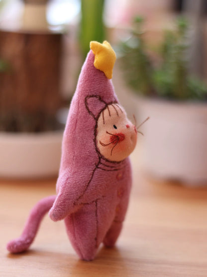 star cat