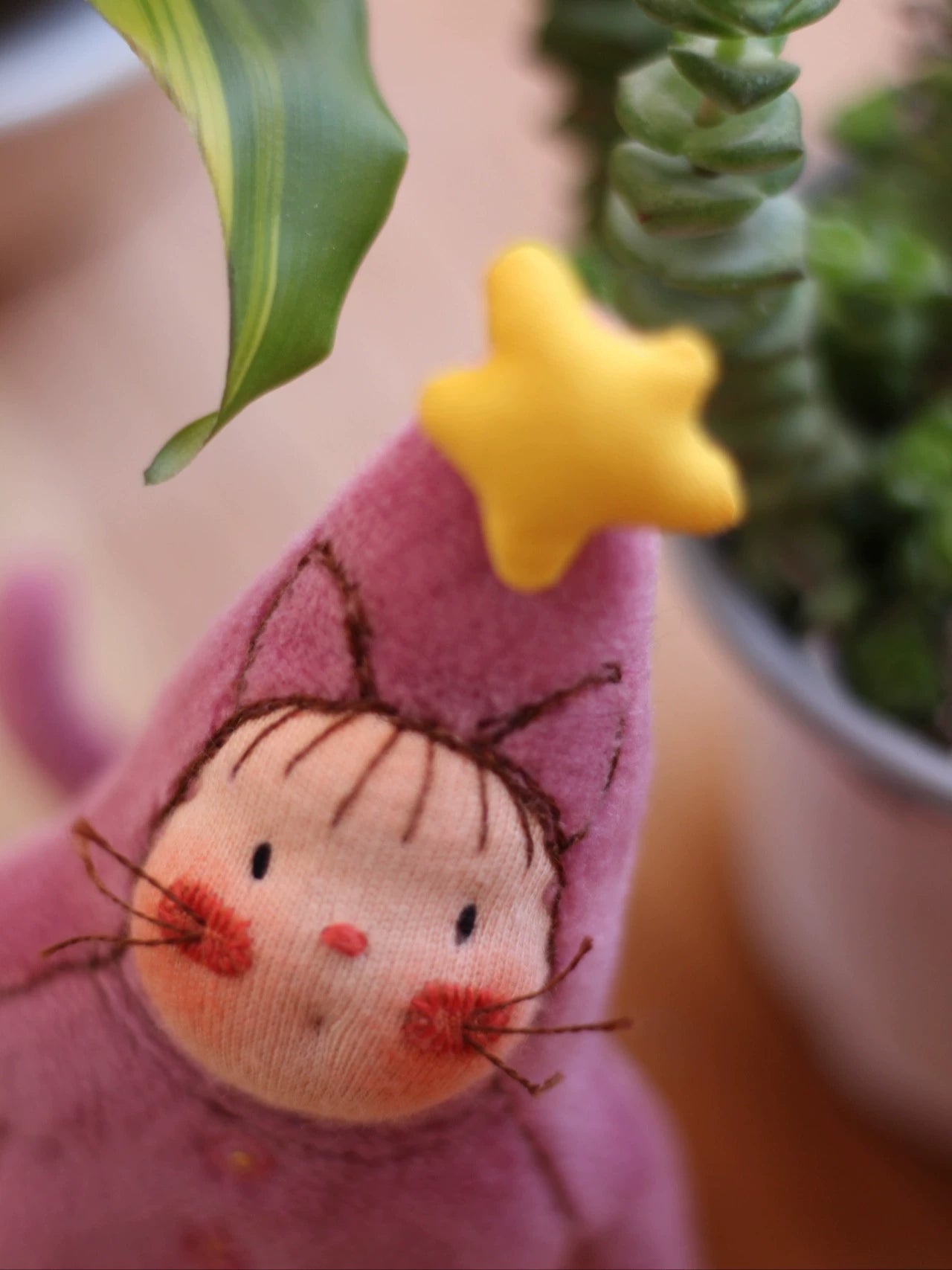 star cat